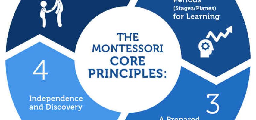 Quali sono le basi della pedagogia Montessori?